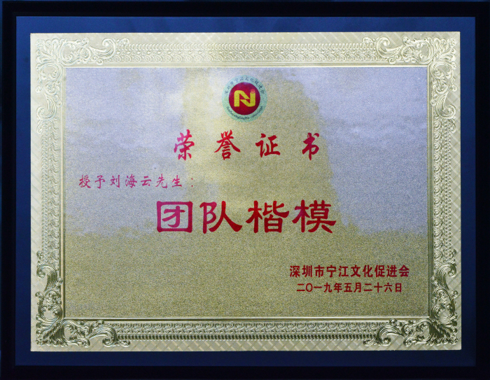 深圳市寧江文化促進會第三次會員代表大會隆重召開 深圳市寧江文化促進會第三次會員代表大會隆重召開